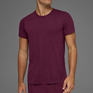 Triumph Tee - Burgundy