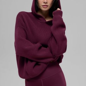 Scholar Hooded Sweater - Burgundy